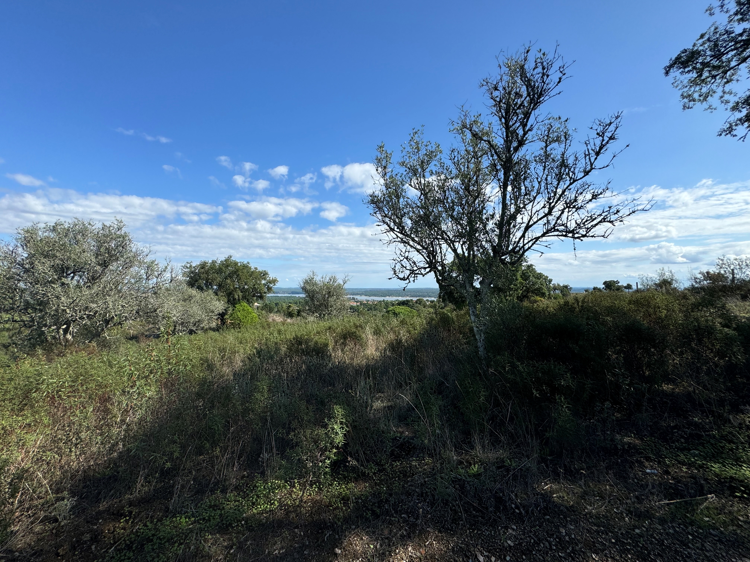 Moradia para Restaurar