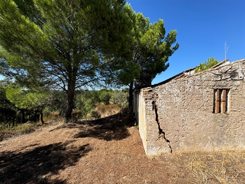 Moradia para Restaurar