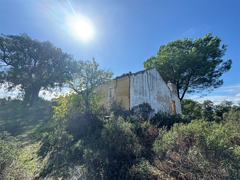 Moradia para Restaurar