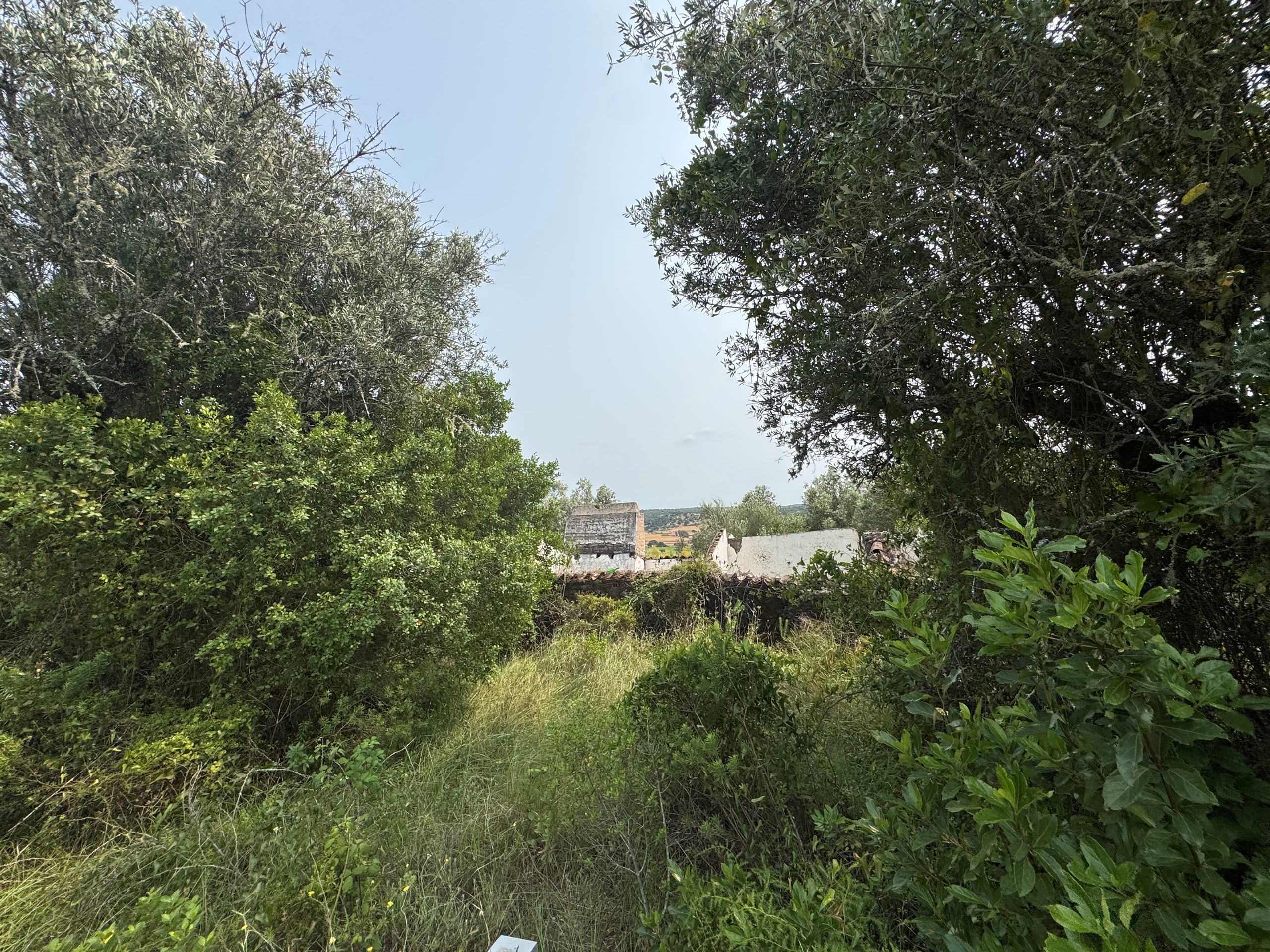 Moradia para Restaurar T4