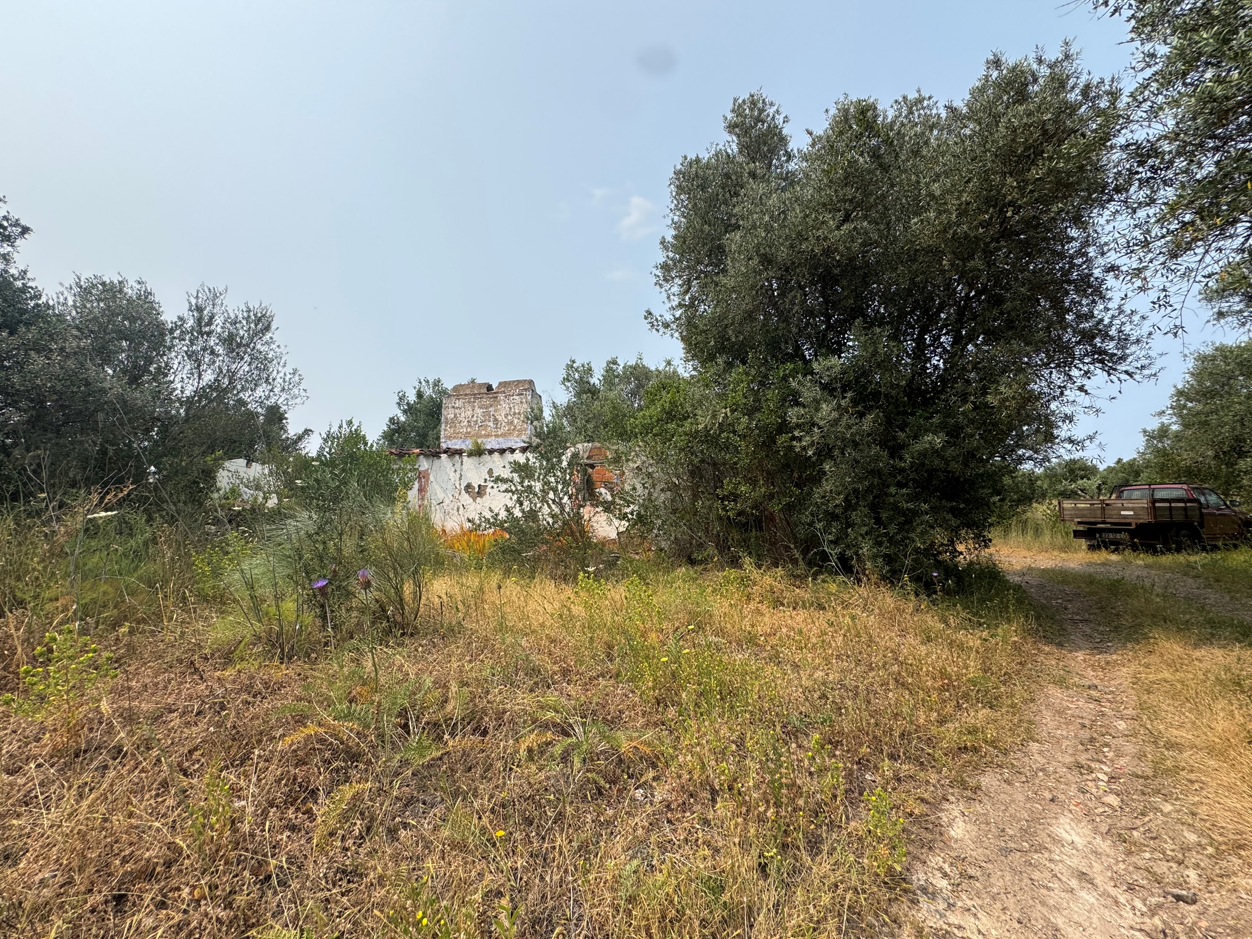 Moradia para Restaurar T4