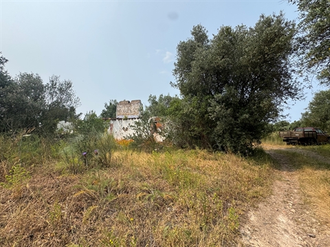 Moradia para Restaurar T4