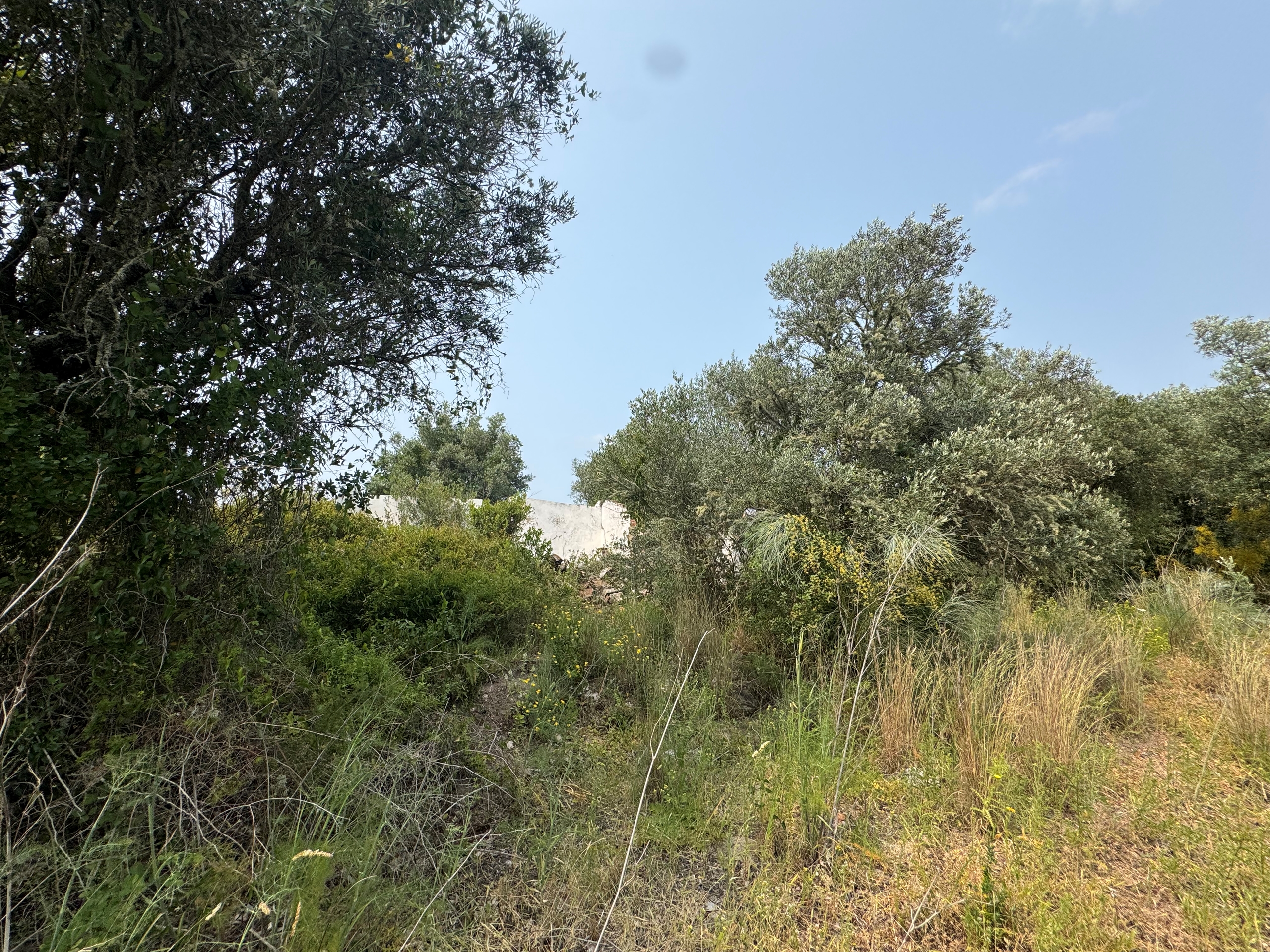 Moradia para Restaurar T4