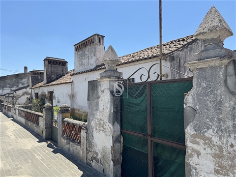 Quintinha