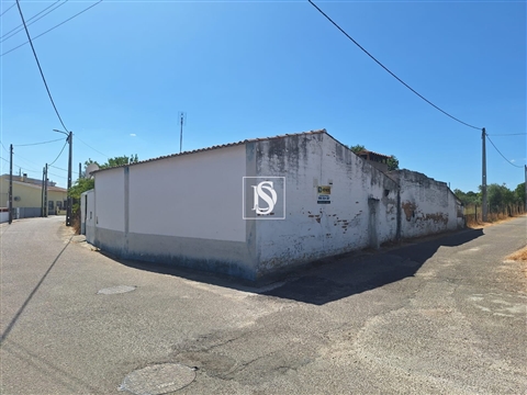 Quintinha T2
